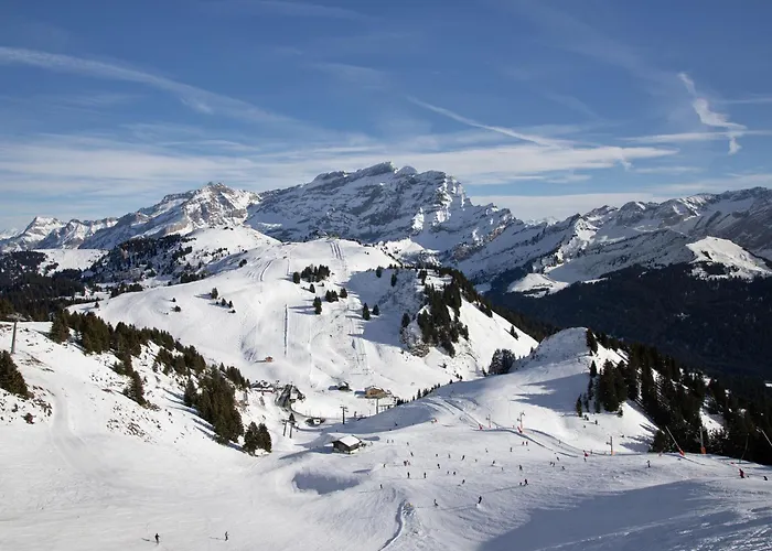 Armorial Ii - 2 By Interhome * Villars-sur-Ollon