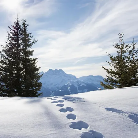 Armorial Ii - 2 By Interhome Daire *