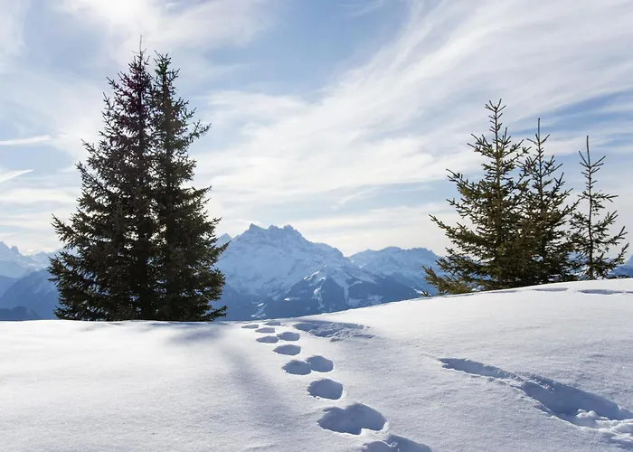 Armorial Ii - 2 By Interhome Daire *